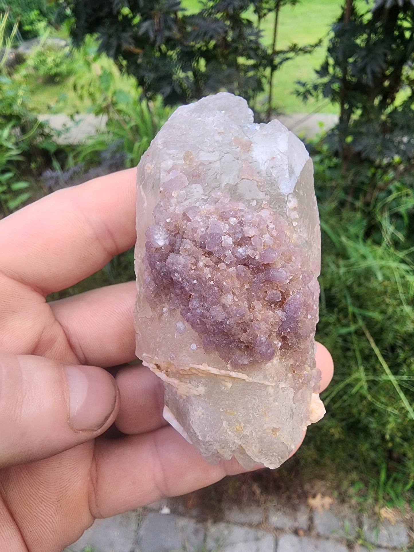 Tourmaline in DT Quartz from Minas Gerais, Brazil