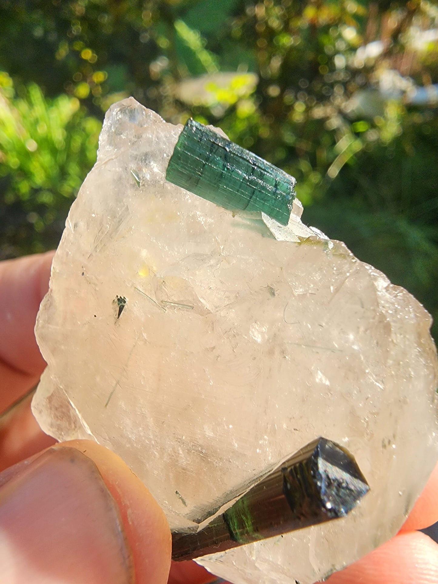 Tourmaline in Quartz from Minas Gerais, Brazil