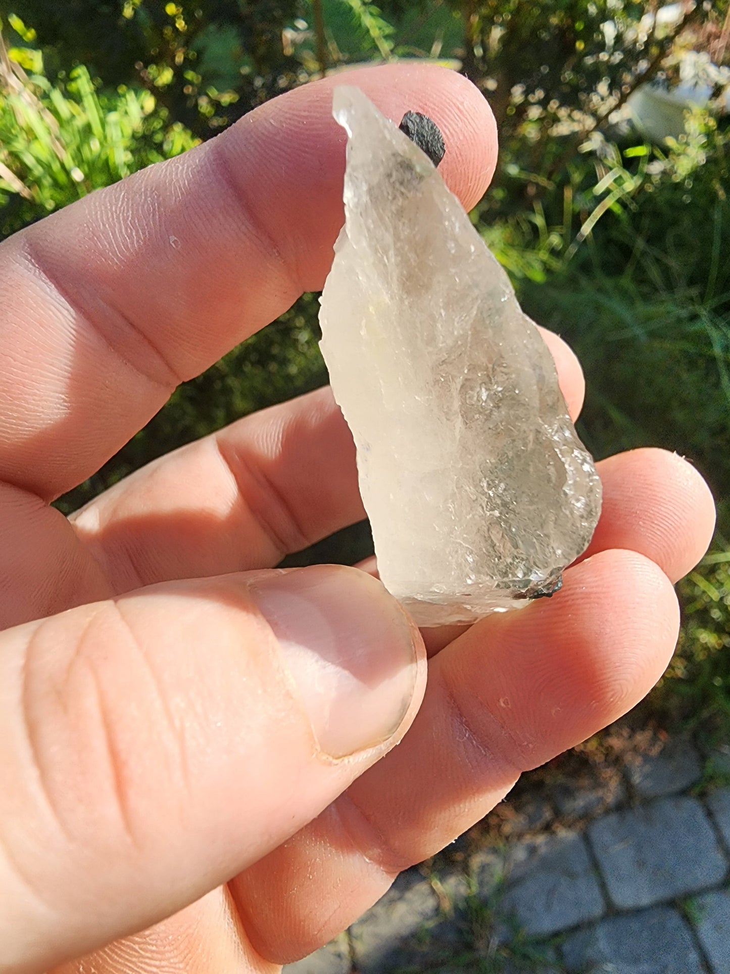 Tourmaline in Quartz from Minas Gerais, Brazil