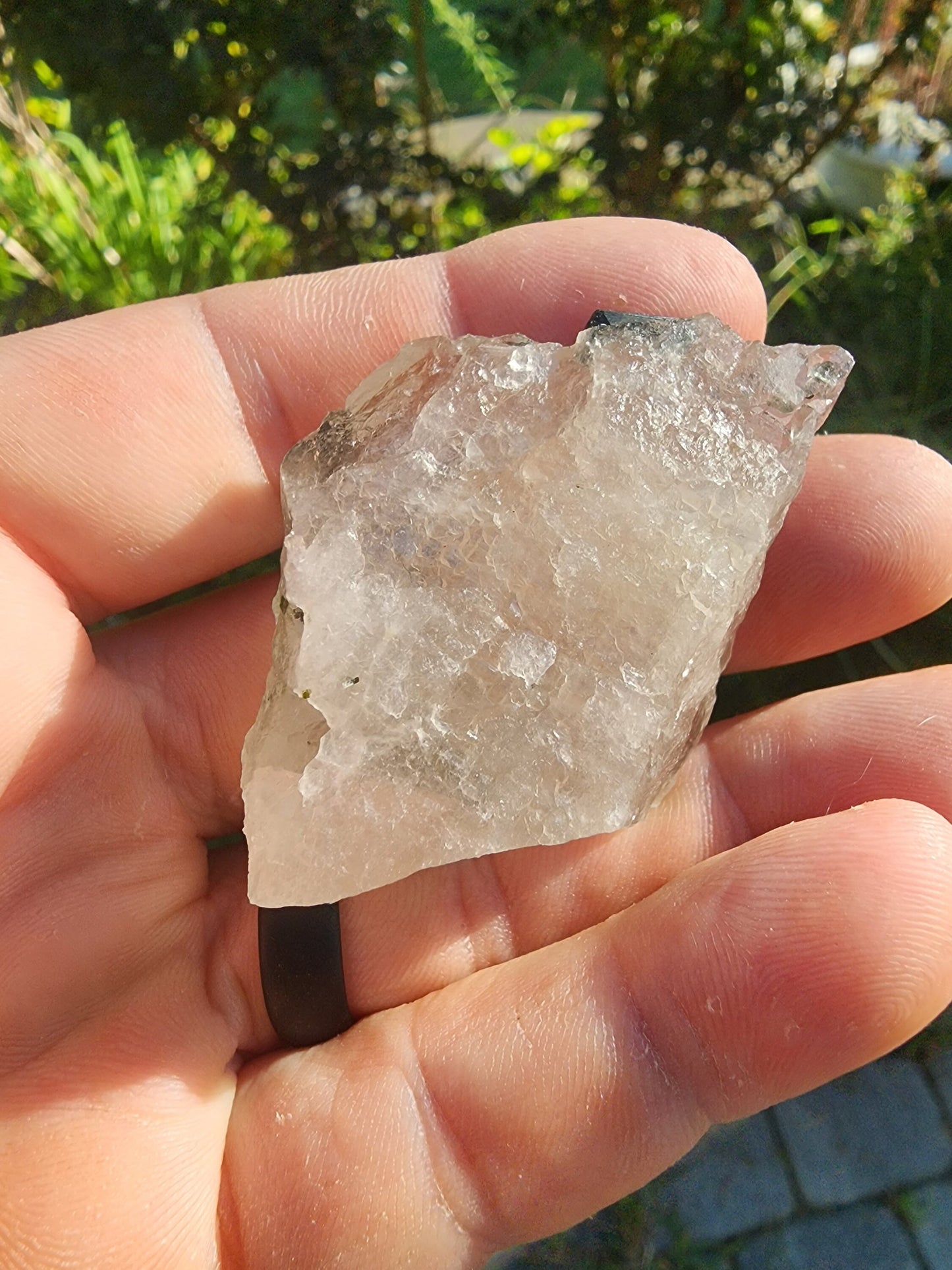 Tourmaline in Quartz from Minas Gerais, Brazil