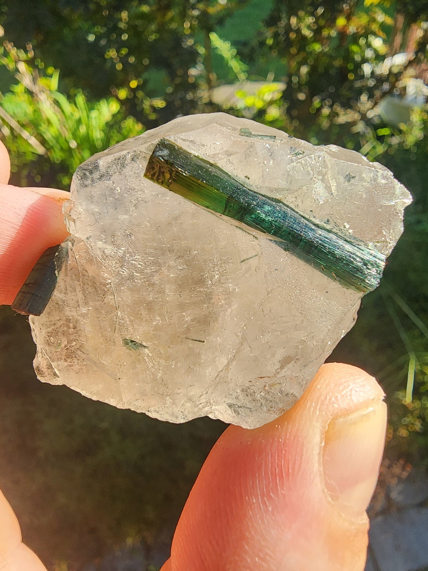 Tourmaline in Quartz from Minas Gerais, Brazil