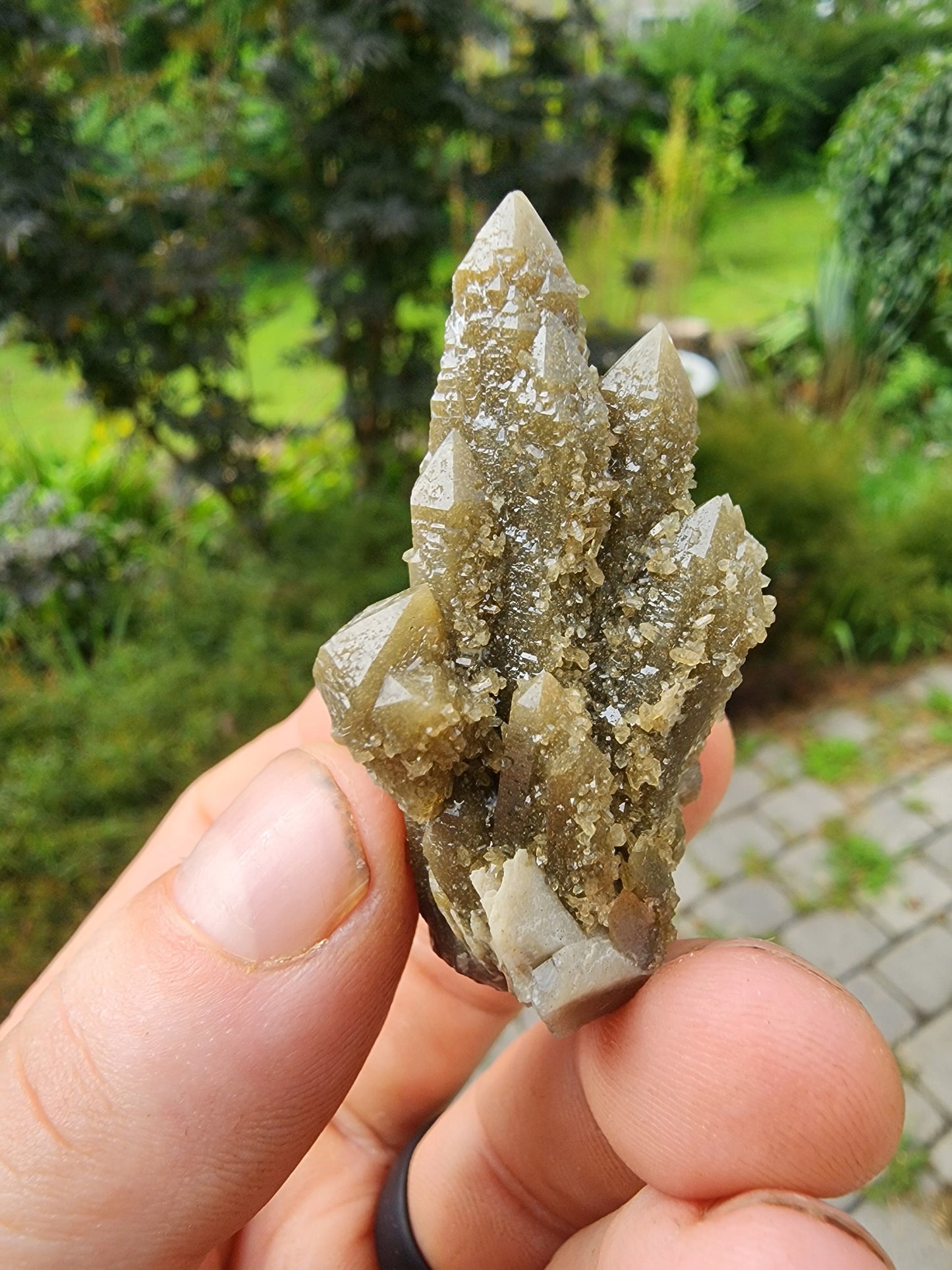 Hedenbergite in Quartz Cluster from Inner Mongolia