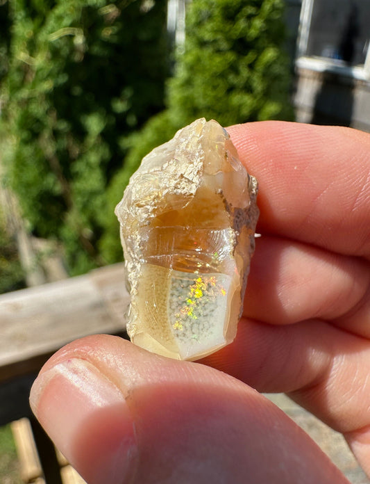 Fiery Rough Opal from Ethiopia