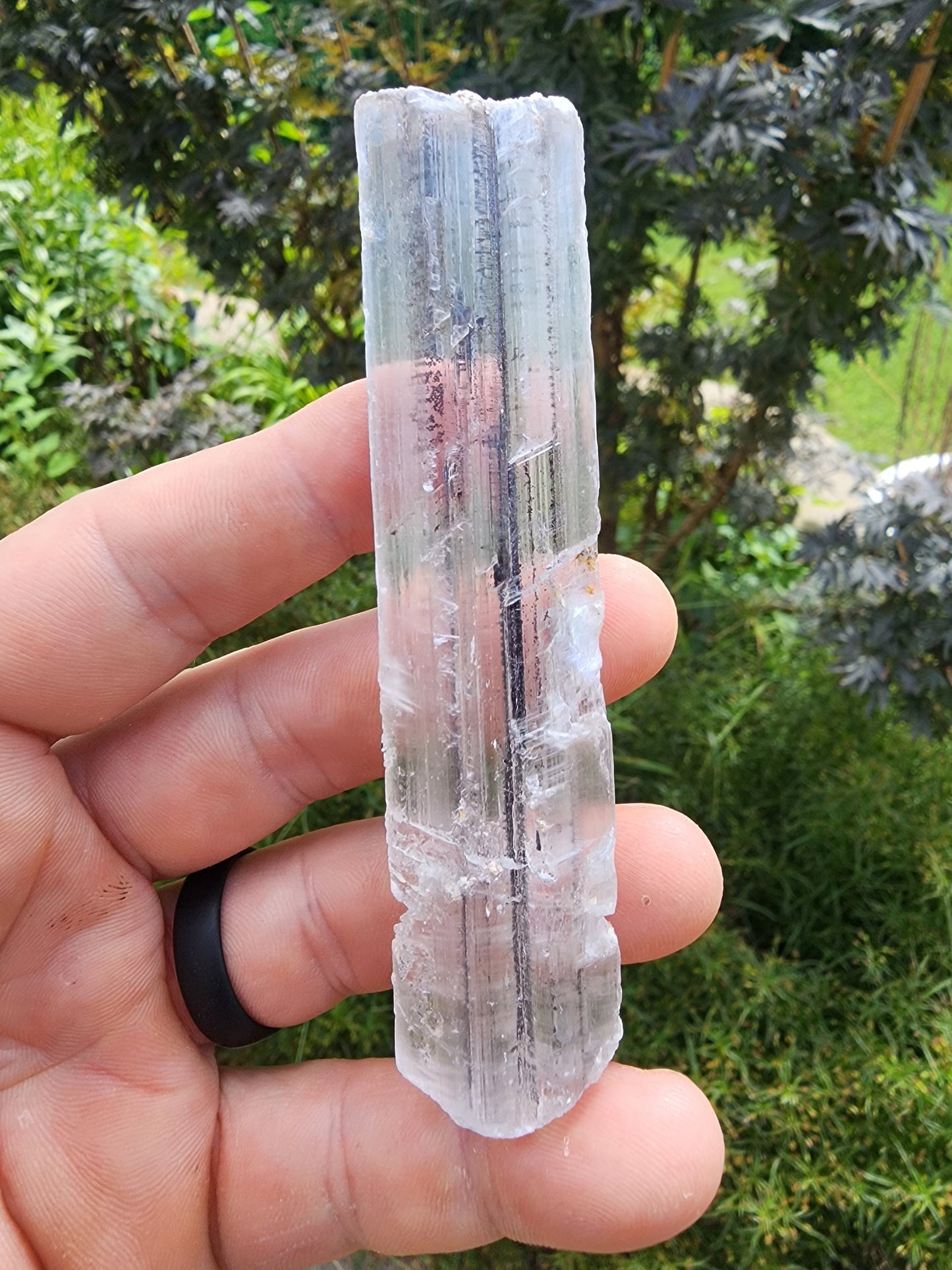 Stibnite Included Selenite Crystal from China