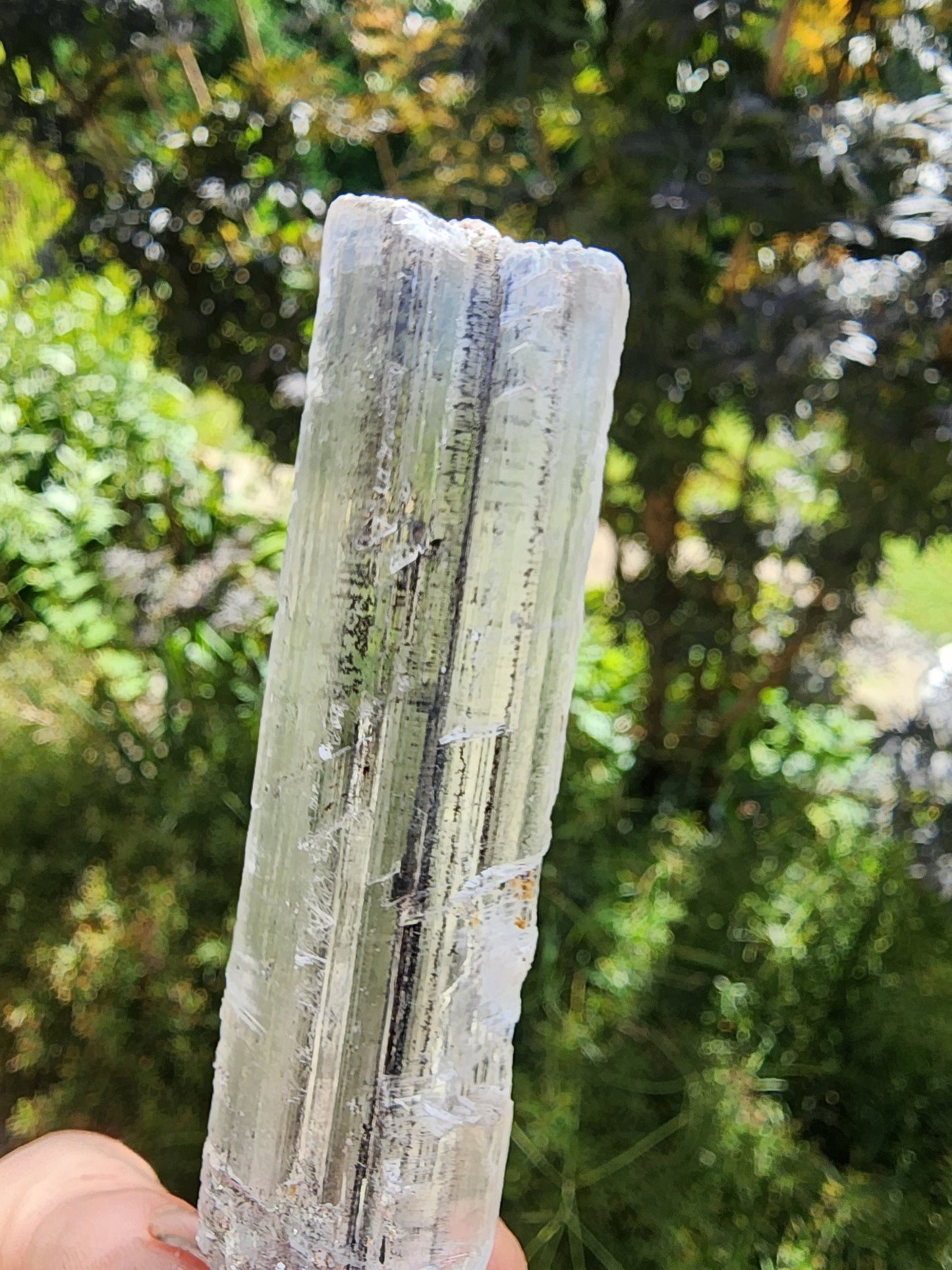 Stibnite Included Selenite Crystal from China