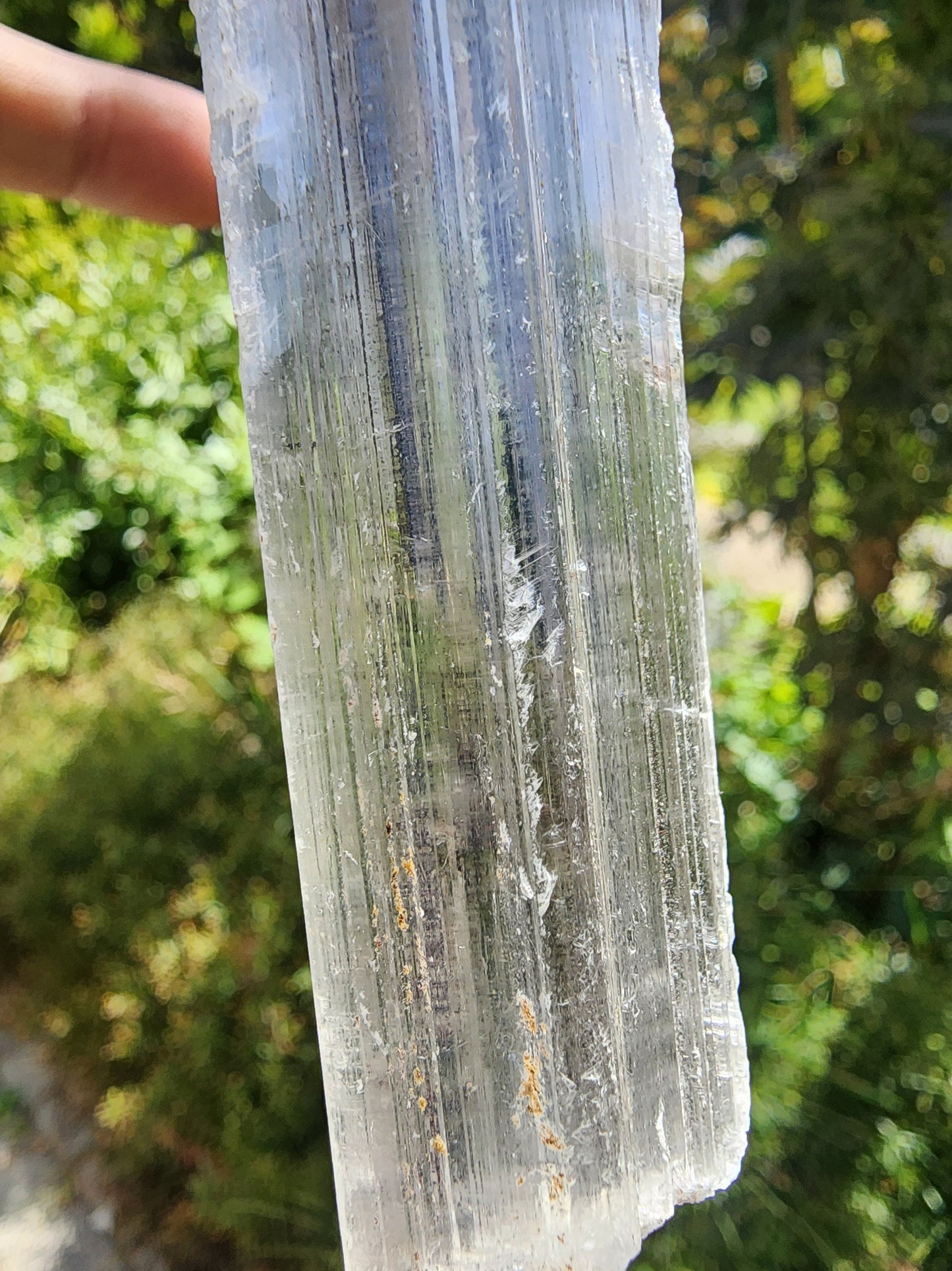 Stibnite Included Selenite Crystal from China