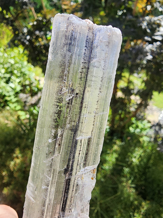Stibnite Included Selenite Crystal from China