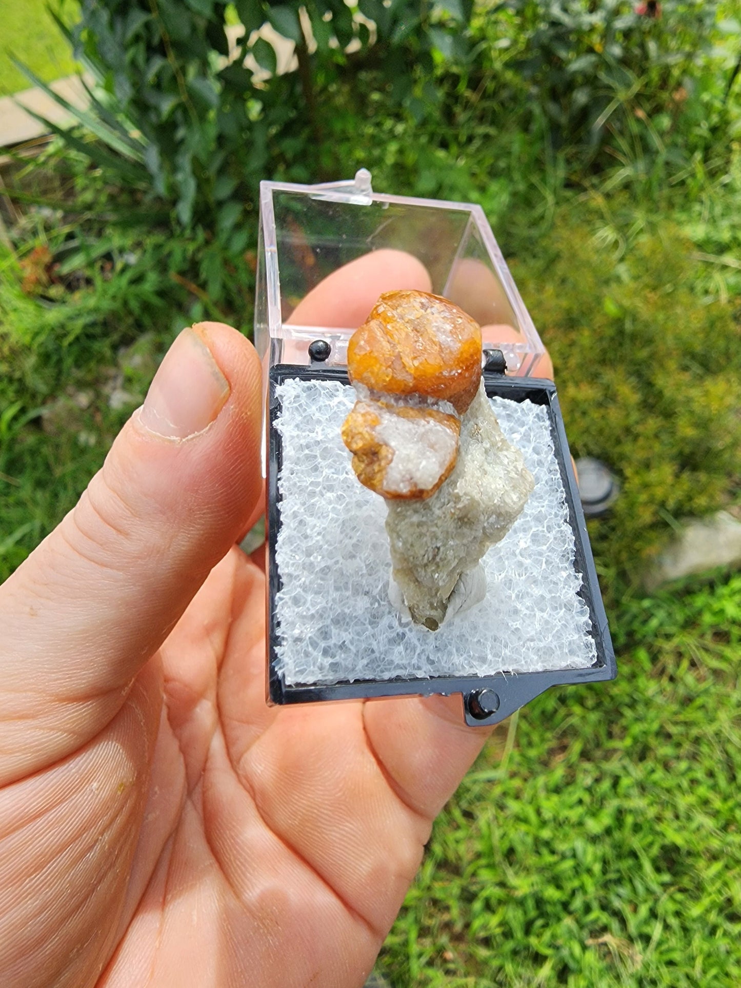 Spessartine Garnet on Muscovite from New Mexico USA