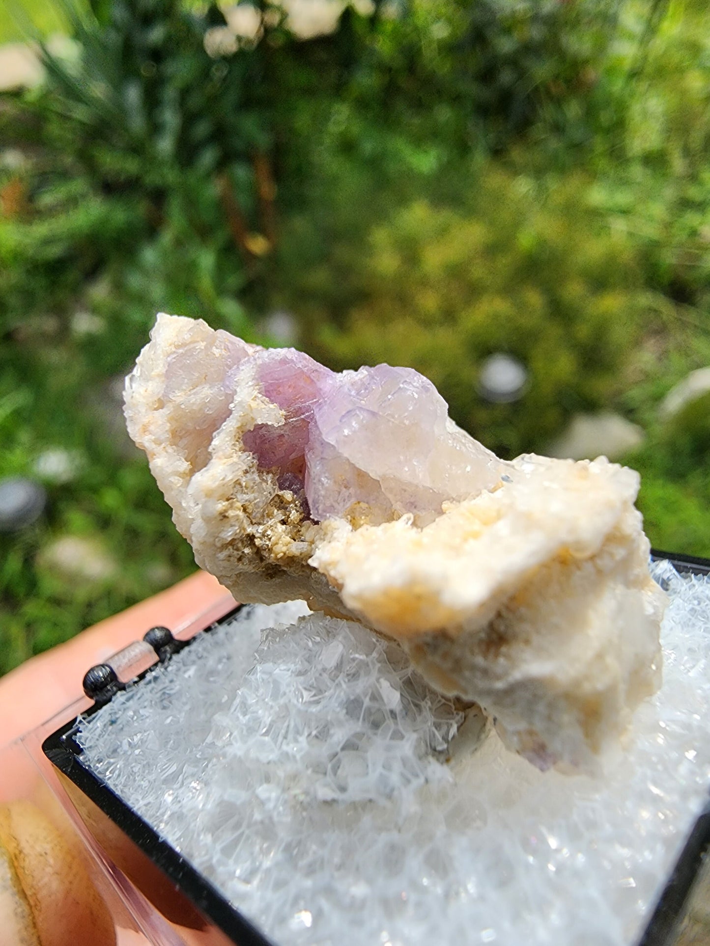Fluorapatite from Harvard Quarry, Greenwood, Maine USA