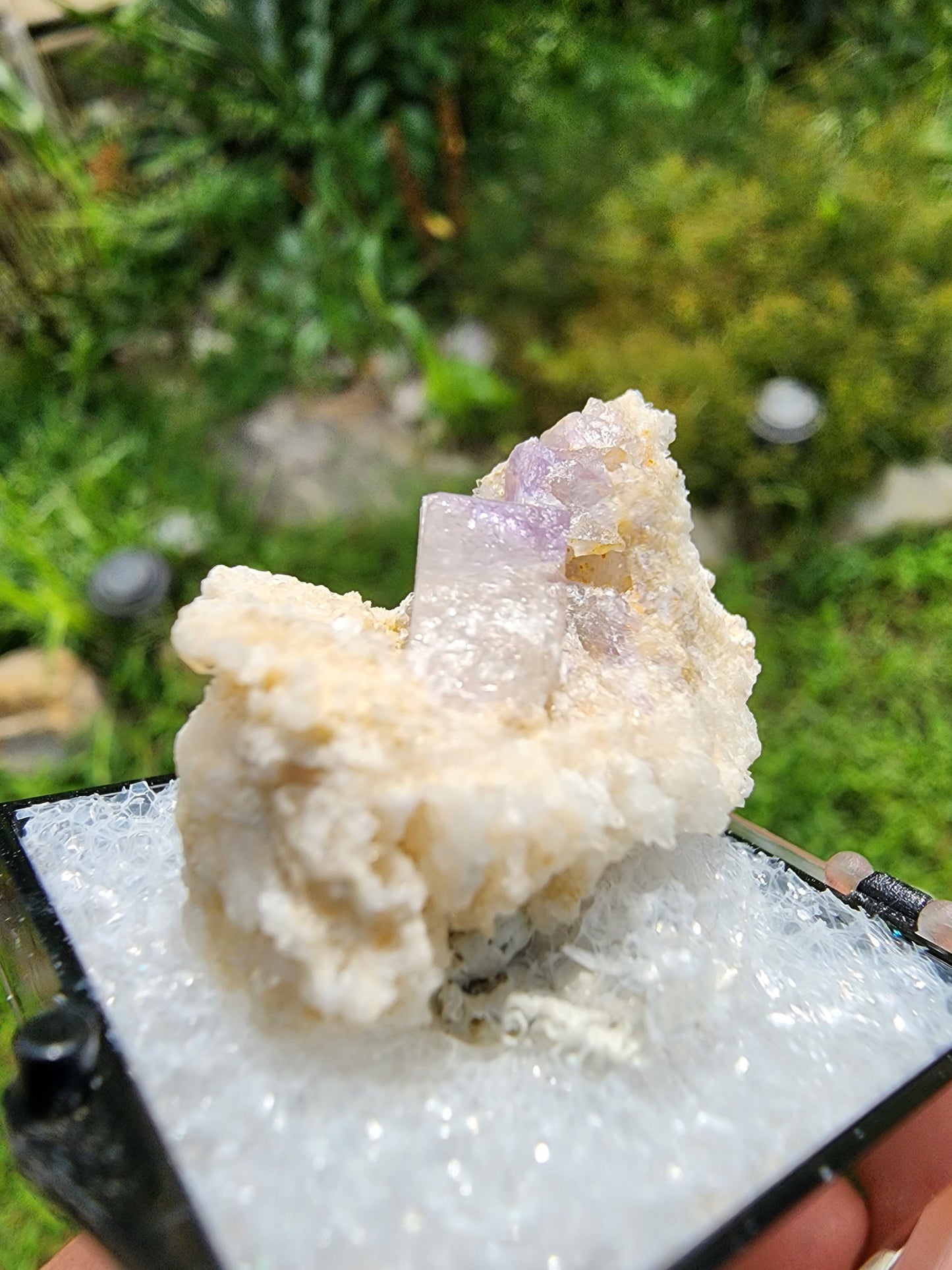 Fluorapatite from Harvard Quarry, Greenwood, Maine USA