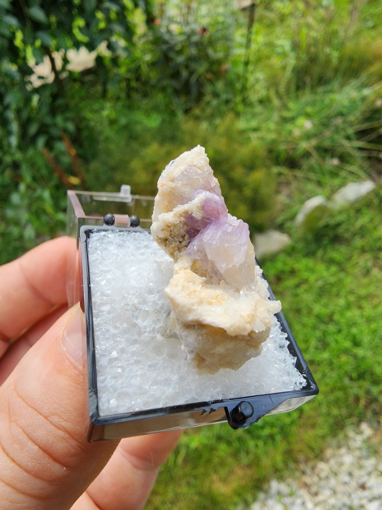 Fluorapatite from Harvard Quarry, Greenwood, Maine USA