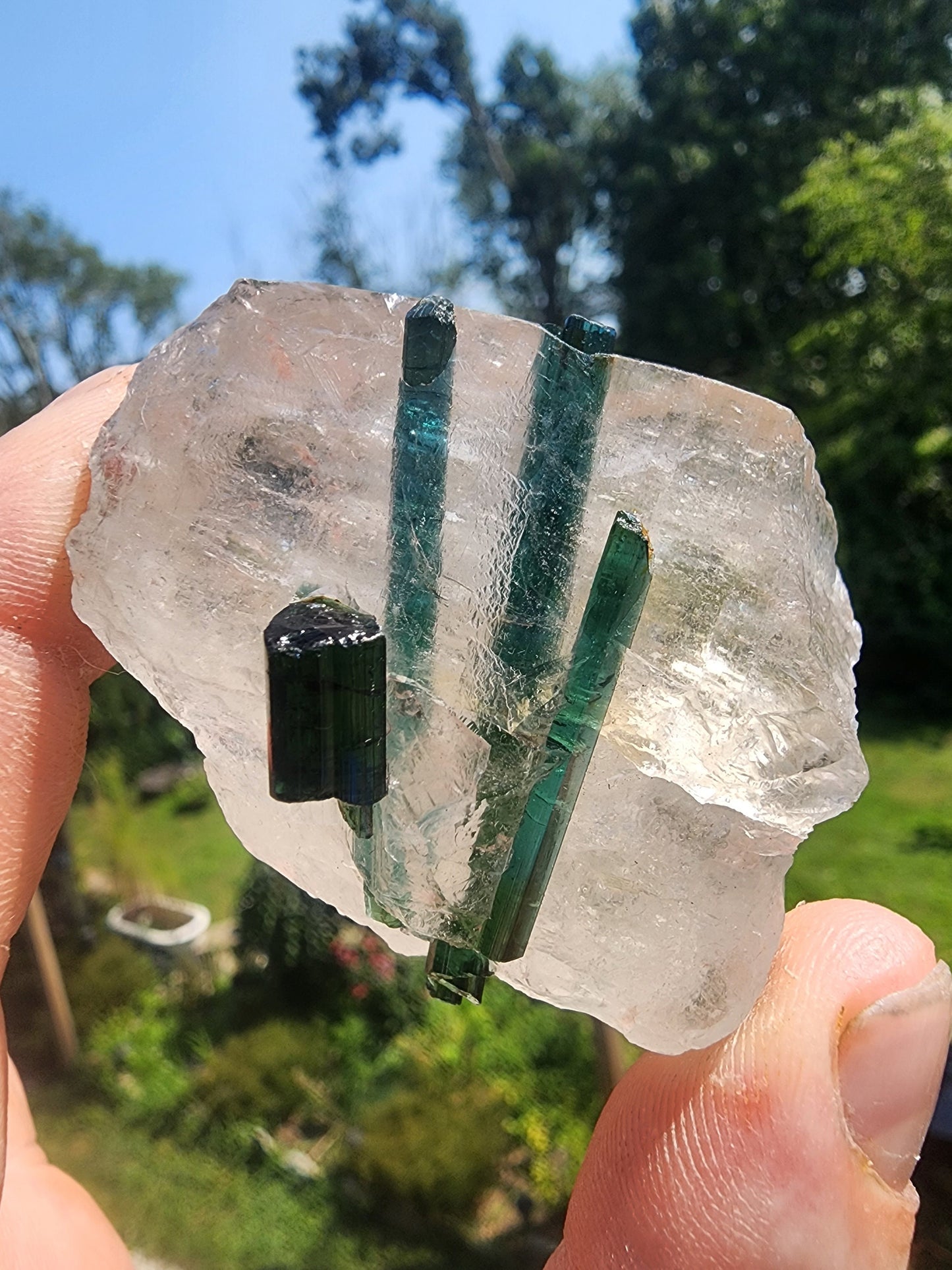 Tourmaline in Quartz from Minas Gerais, Brazil