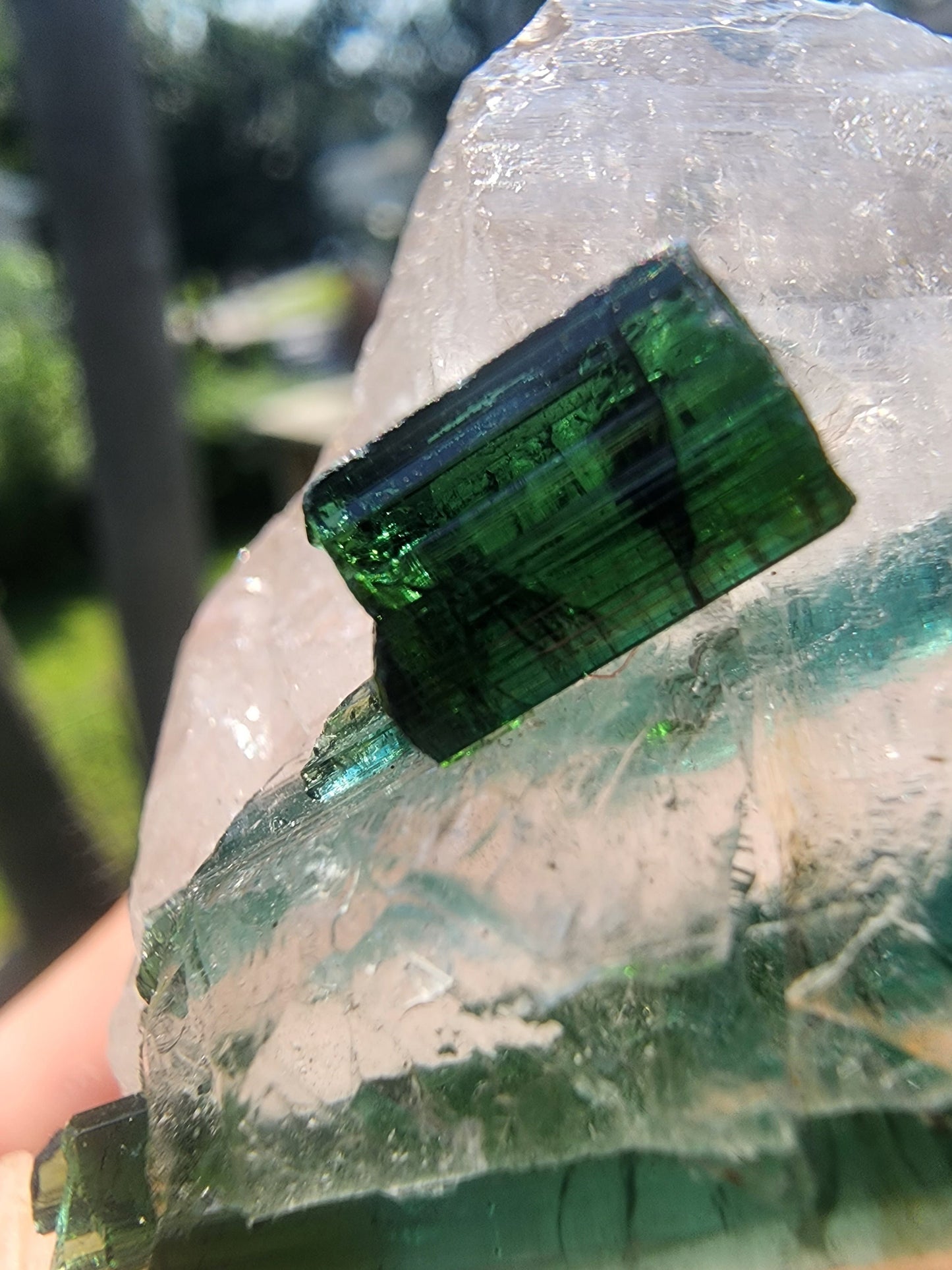 Tourmaline in Quartz from Minas Gerais, Brazil