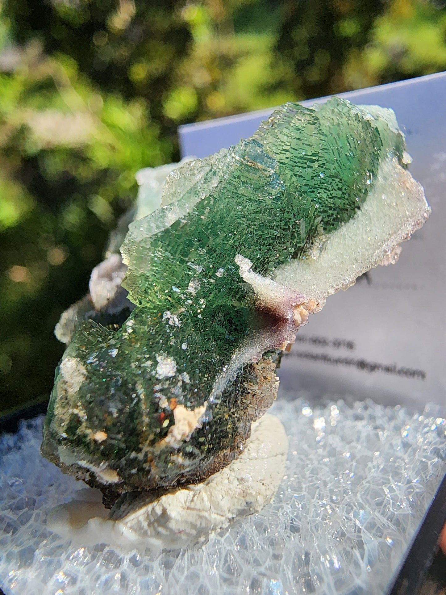 Unaweep Canyon Fluorite Crystal Cluster Mesa, Colorado