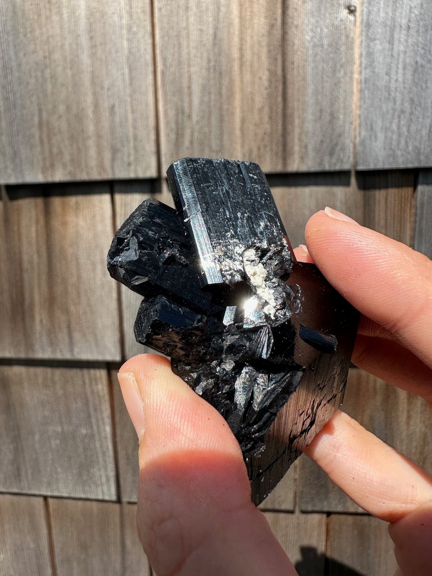 Black Tourmaline Schorl Cluster from Erongo, Namibia
