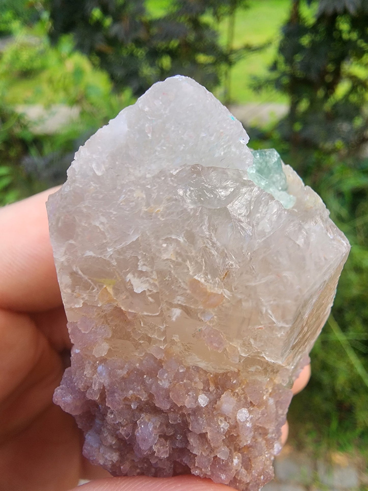 Tourmaline in DT Quartz from Minas Gerais, Brazil
