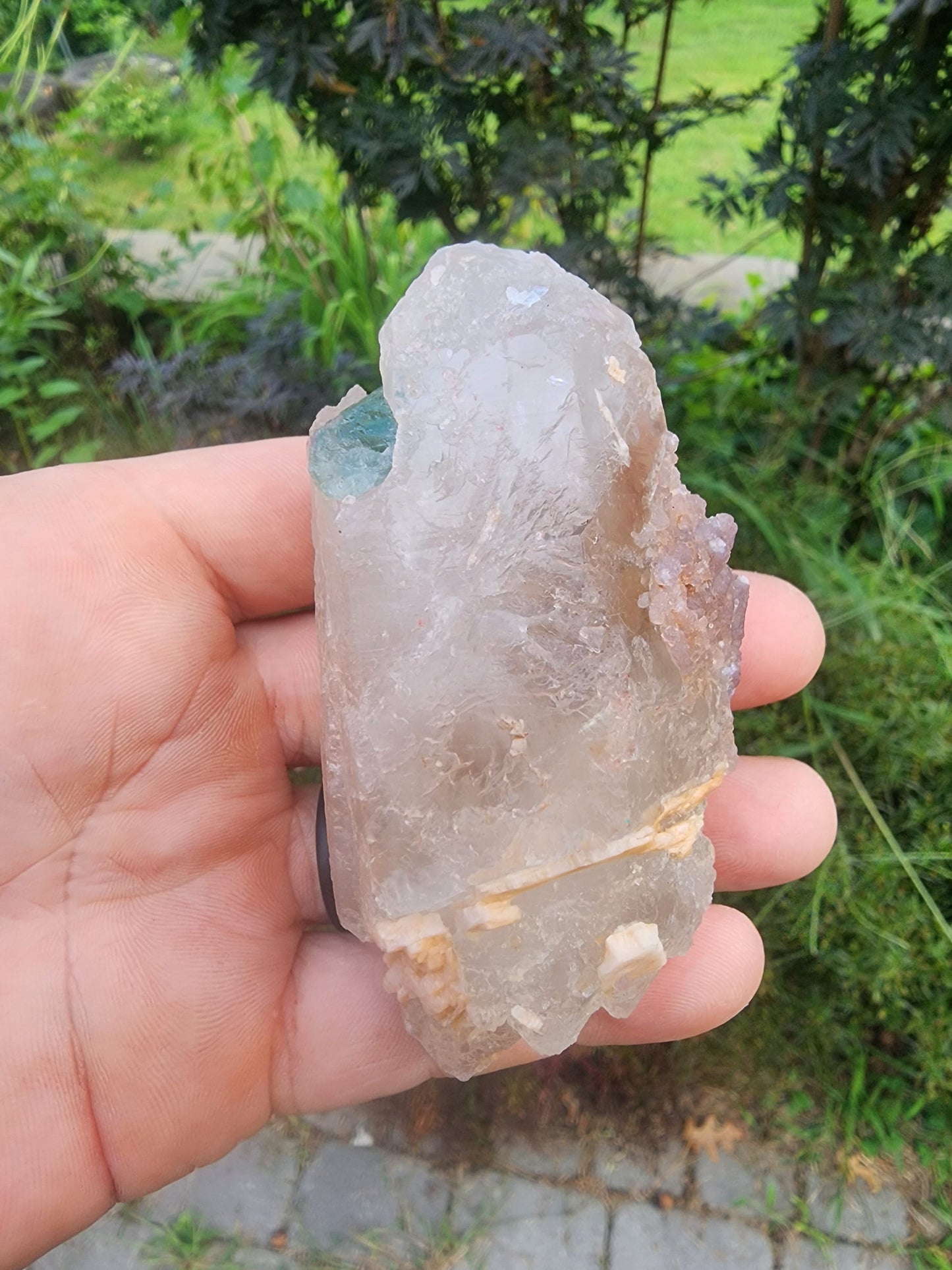Tourmaline in DT Quartz from Minas Gerais, Brazil