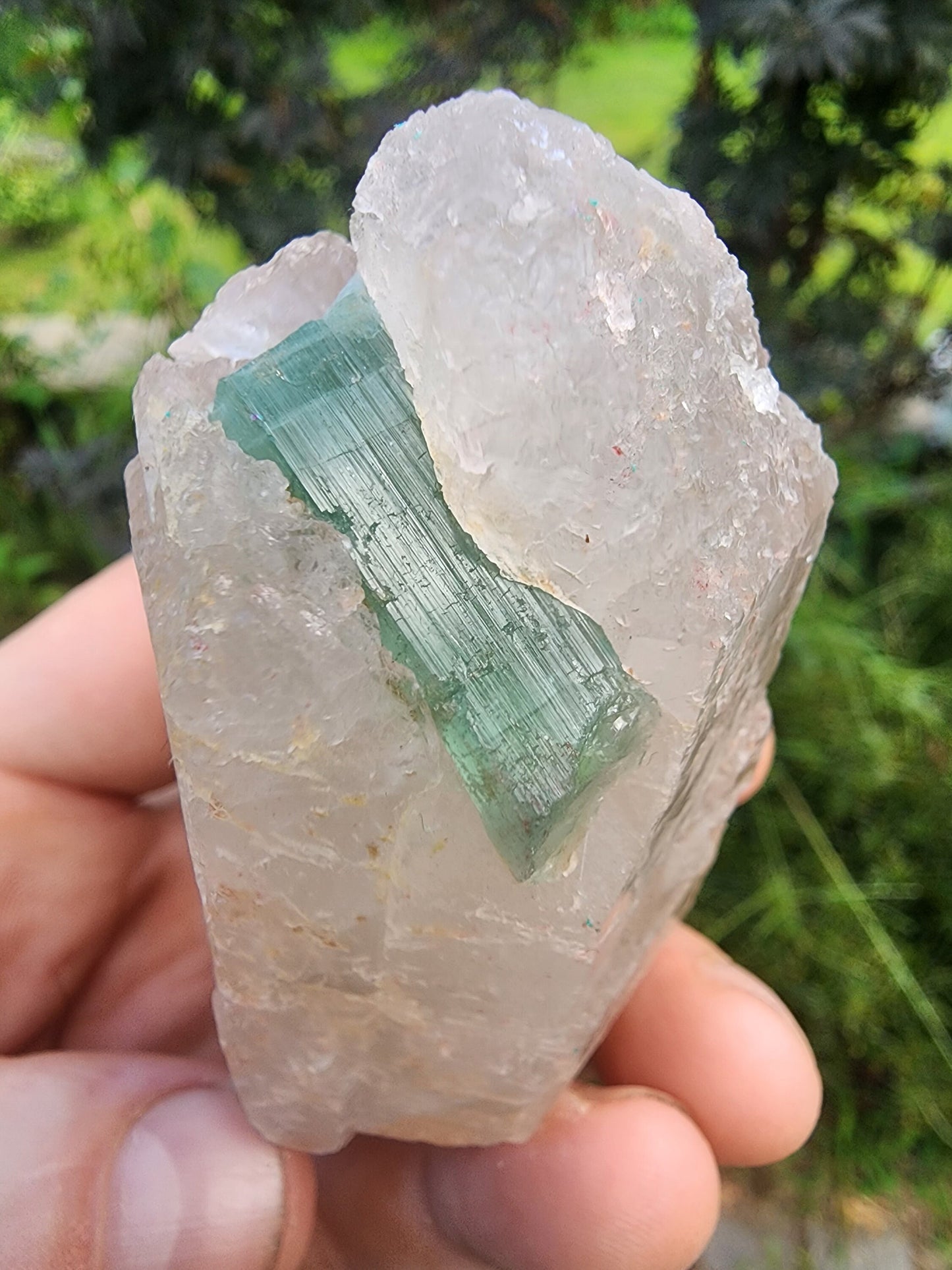 Tourmaline in DT Quartz from Minas Gerais, Brazil