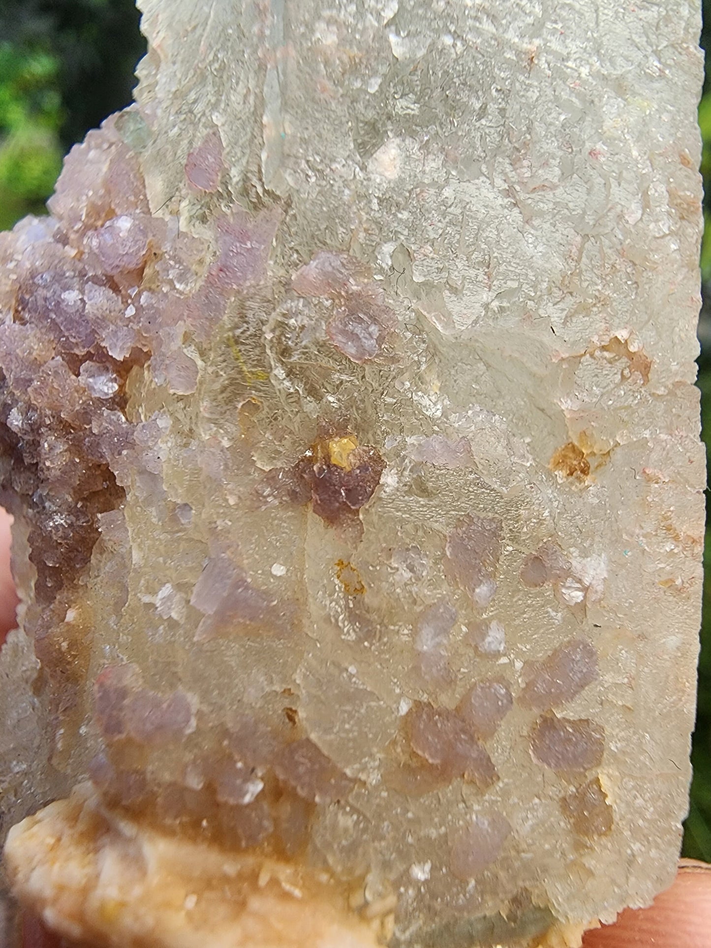 Tourmaline in DT Quartz from Minas Gerais, Brazil