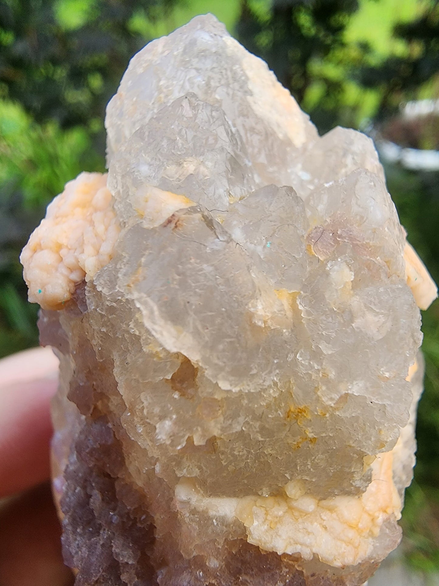 Tourmaline in DT Quartz from Minas Gerais, Brazil
