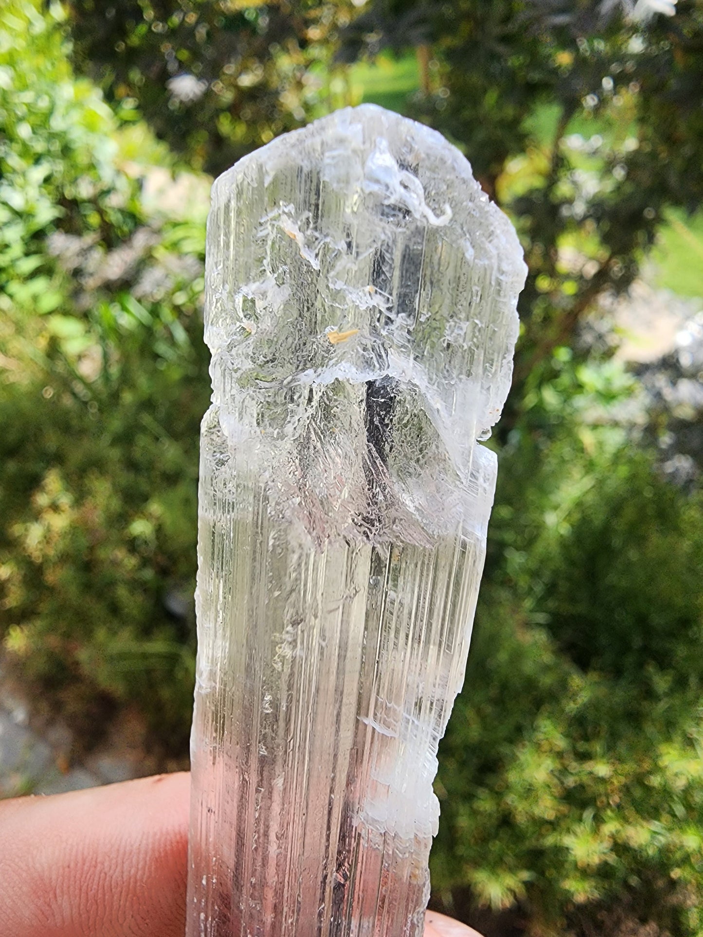 Stibnite Included Selenite Crystal from China