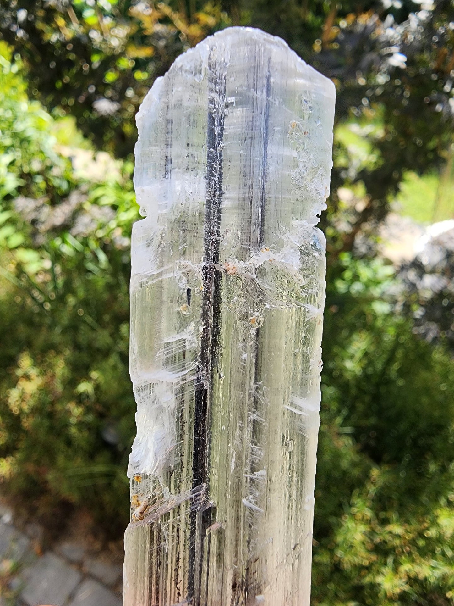Stibnite Included Selenite Crystal from China