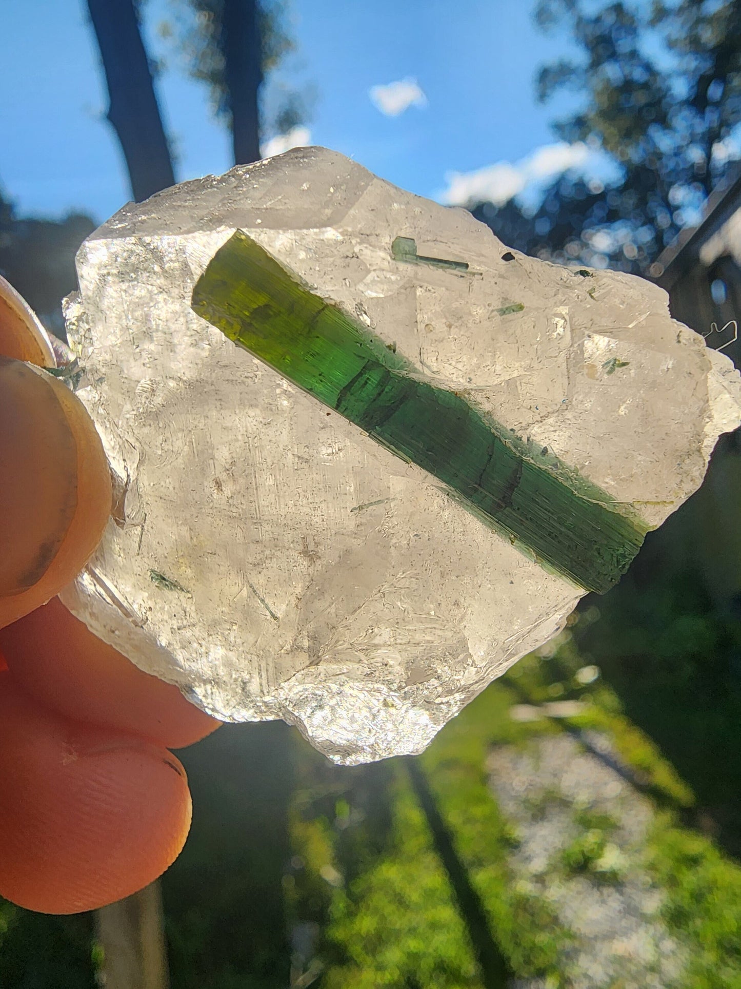 Tourmaline in Quartz from Minas Gerais, Brazil