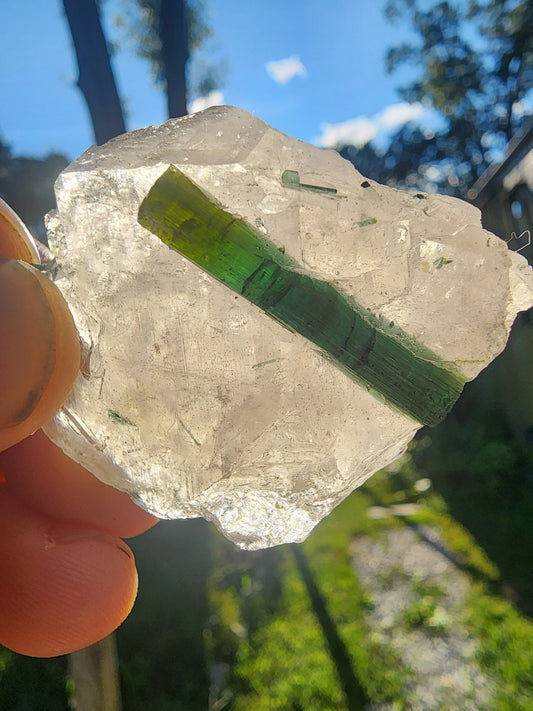 Tourmaline in Quartz from Minas Gerais, Brazil