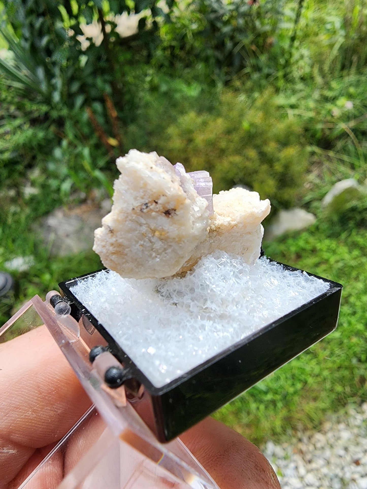 Fluorapatite from Harvard Quarry, Greenwood, Maine USA