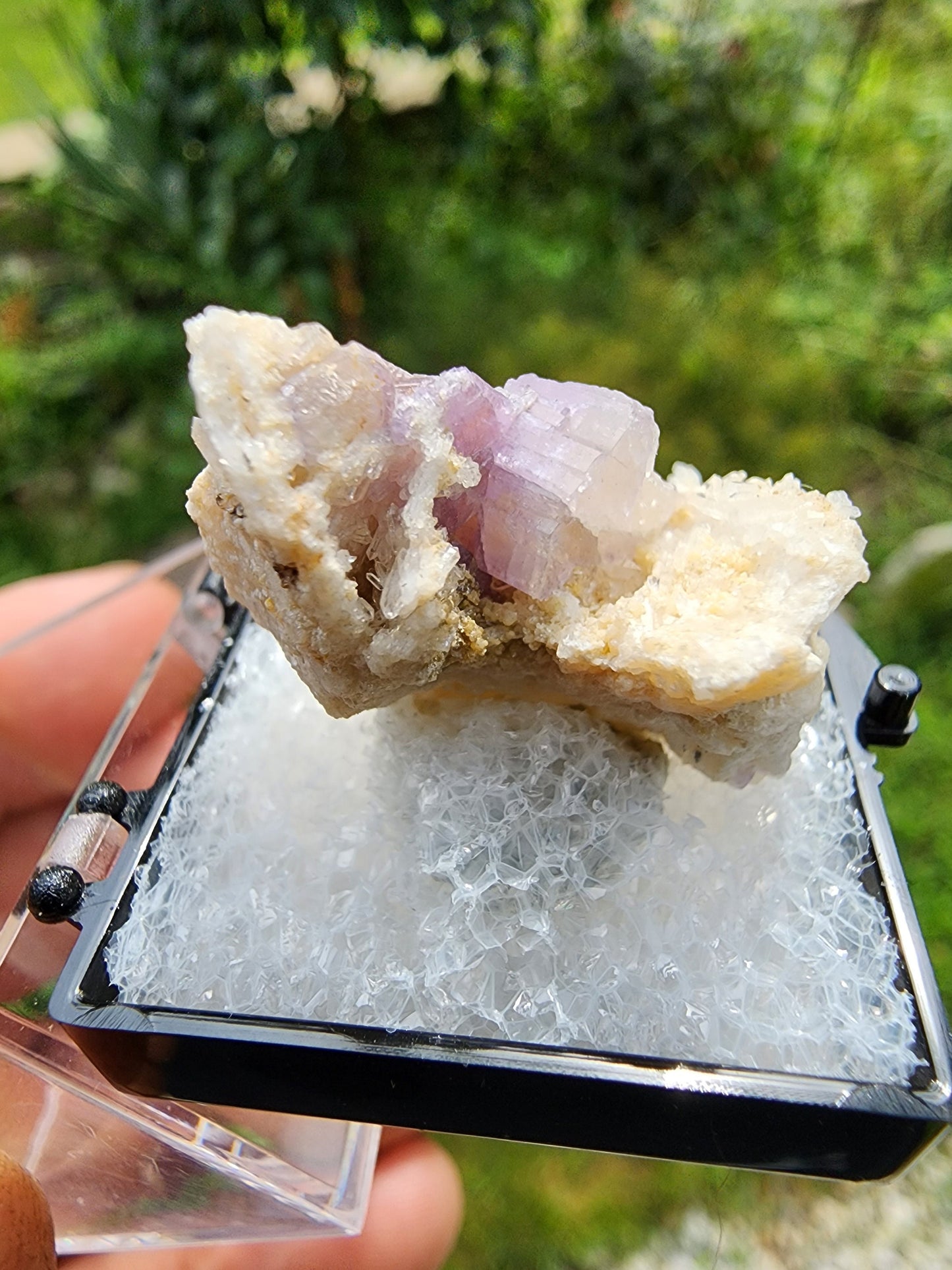 Fluorapatite from Harvard Quarry, Greenwood, Maine USA