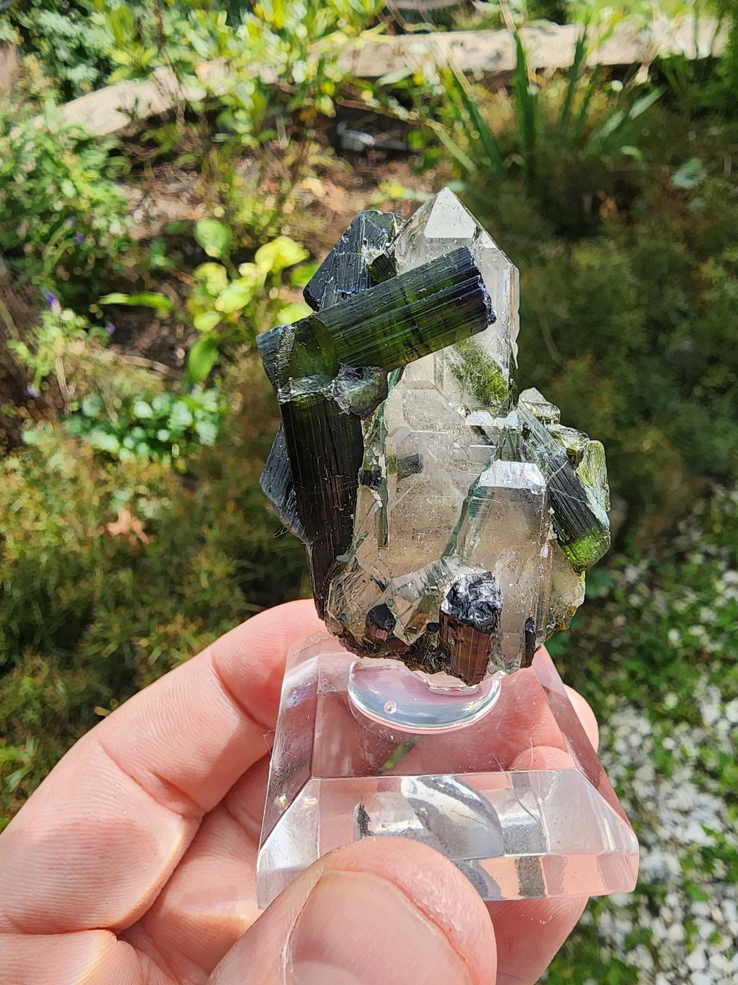 Green Tourmaline in Quartz from Brazil