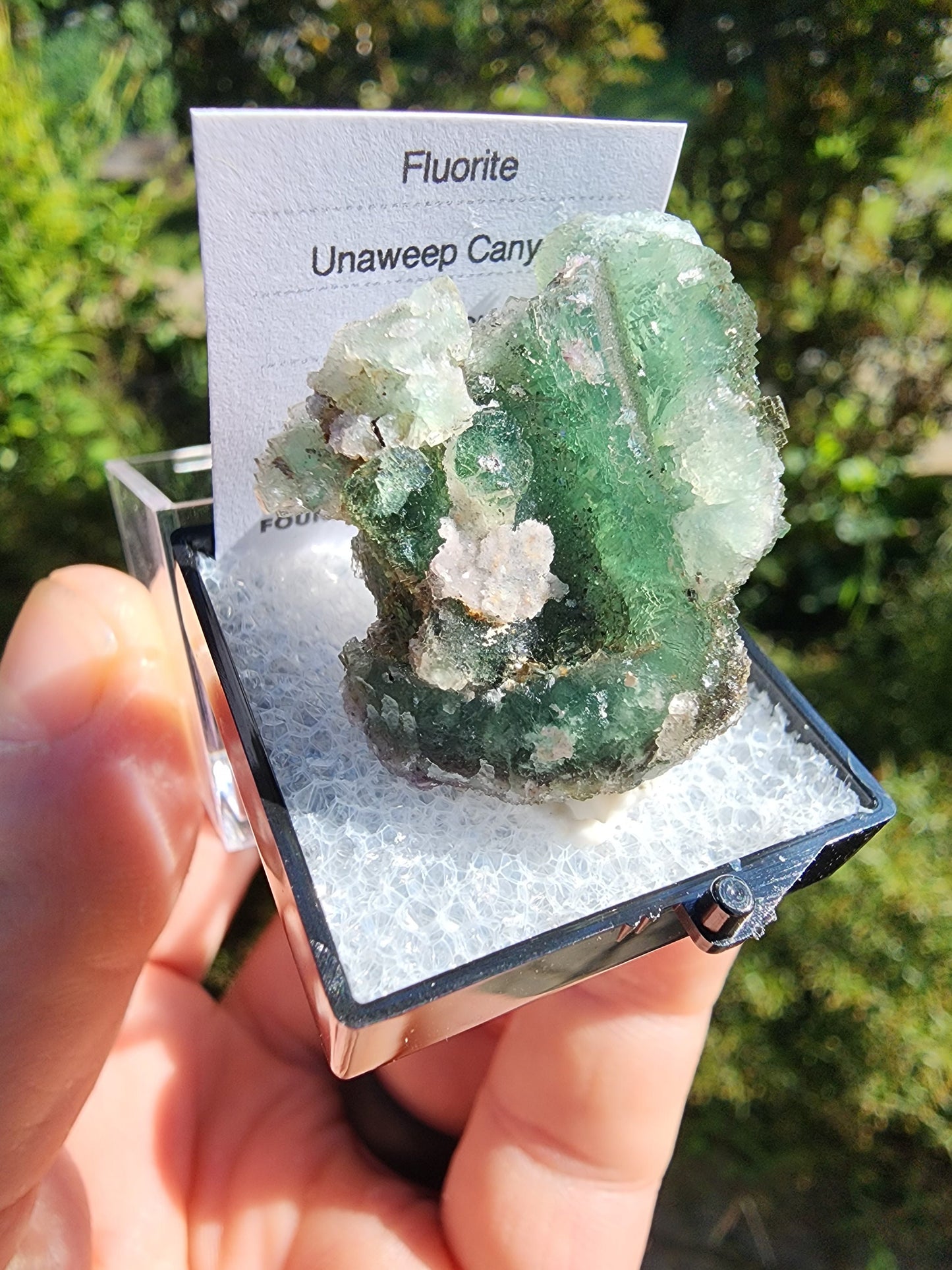 Unaweep Canyon Fluorite Crystal Cluster Mesa, Colorado