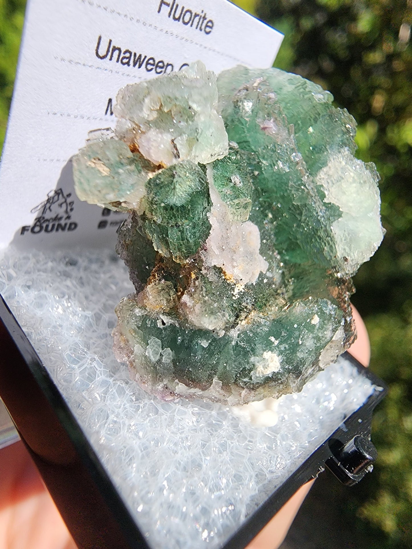Unaweep Canyon Fluorite Crystal Cluster Mesa, Colorado