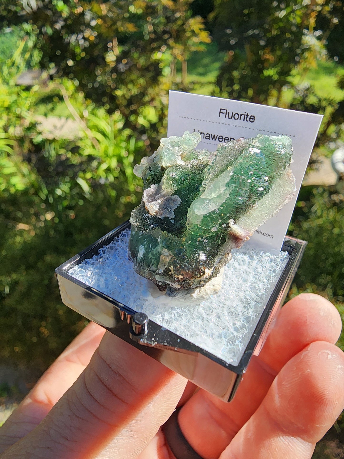 Unaweep Canyon Fluorite Crystal Cluster Mesa, Colorado