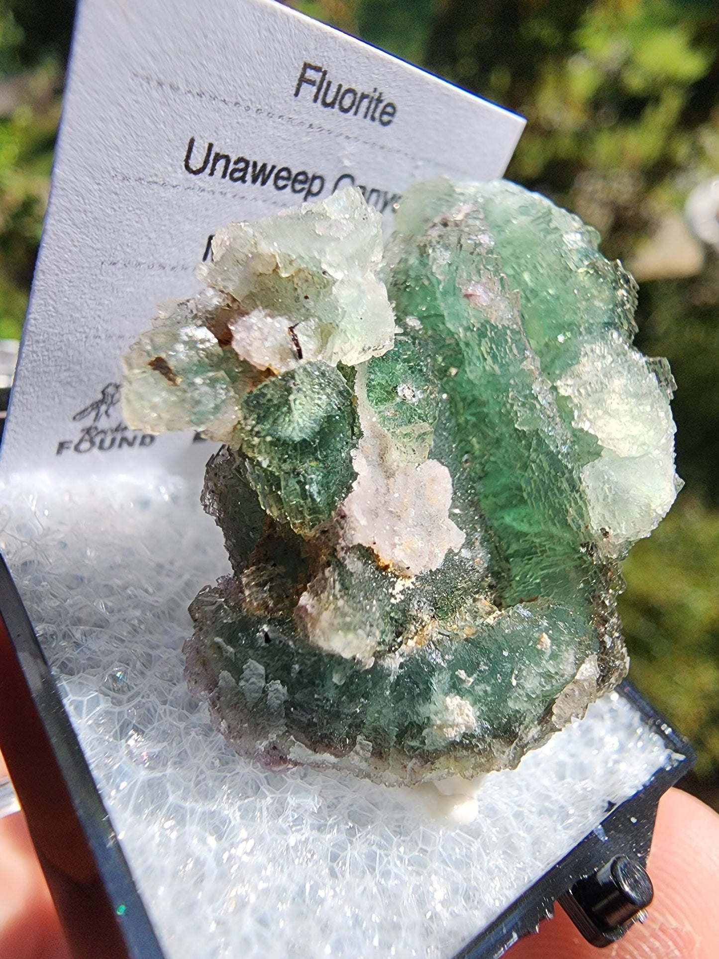 Unaweep Canyon Fluorite Crystal Cluster Mesa, Colorado