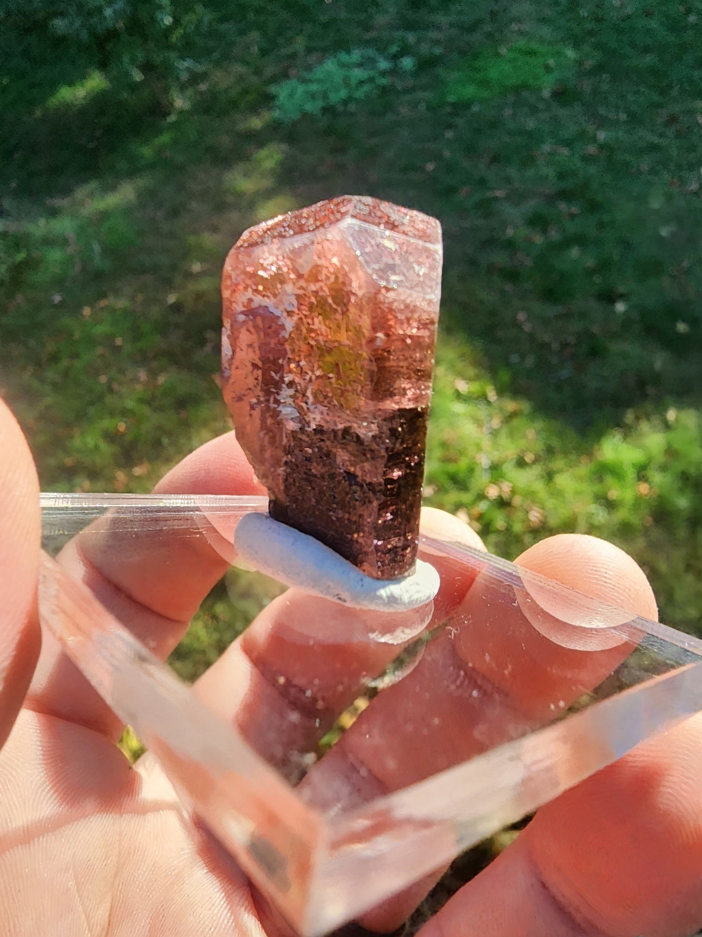Tourmaline from Minas Gerais, Brazil