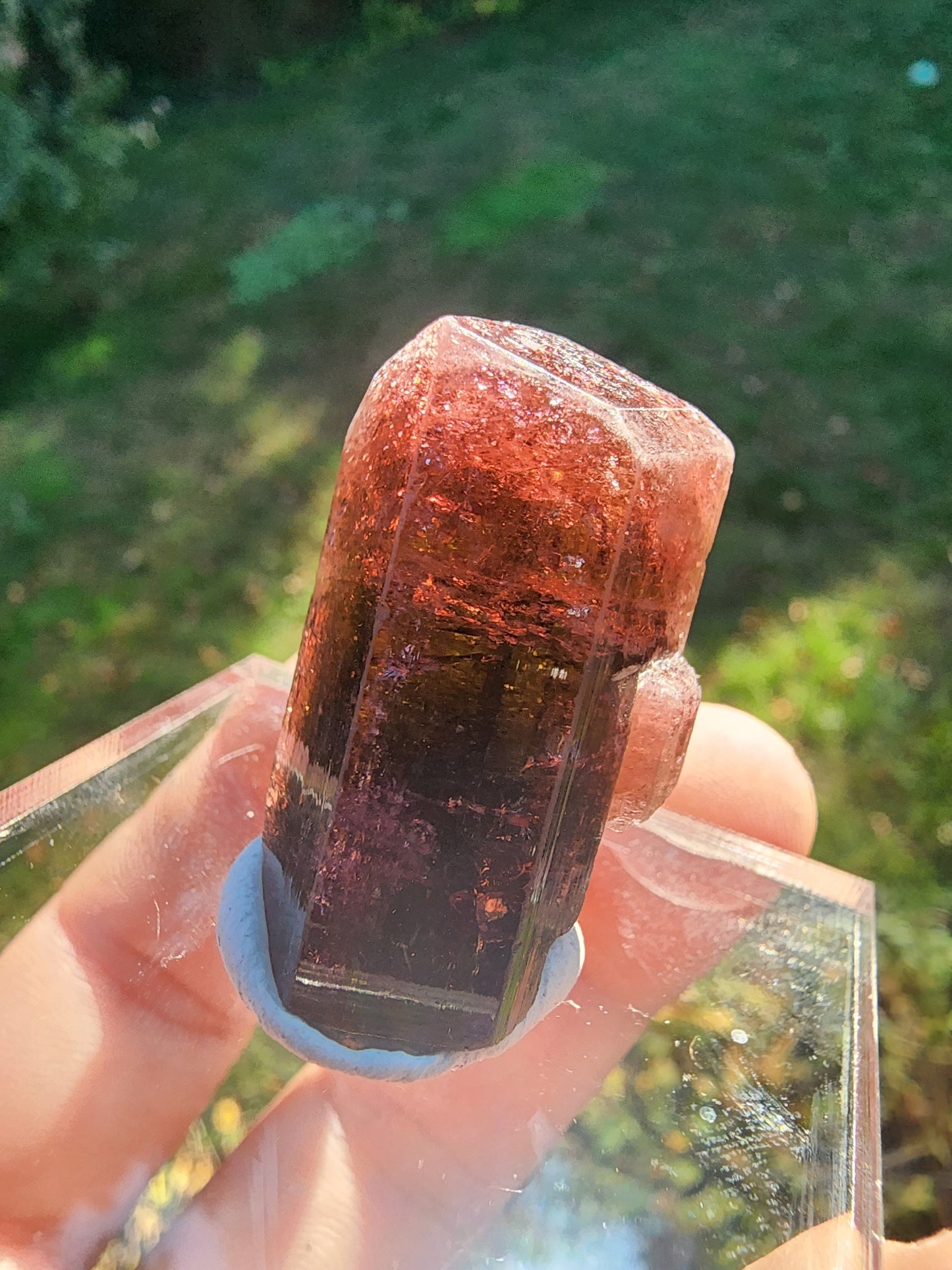 Tourmaline from Minas Gerais, Brazil