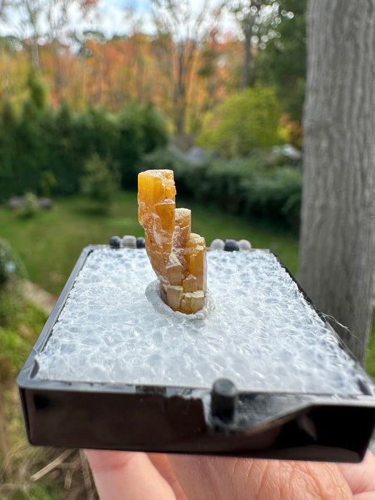 Hoppered Pyromorphite Crystal from Bunker Hill Mine Idaho USA
