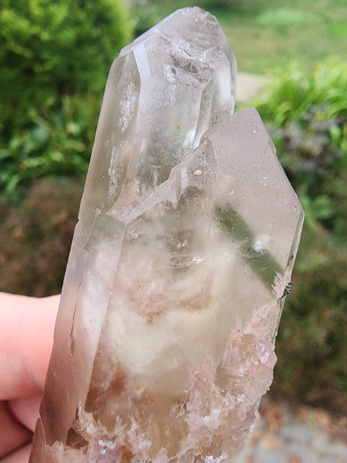 Watermelon Tourmaline in Quartz from Minas Gerais, Brazil