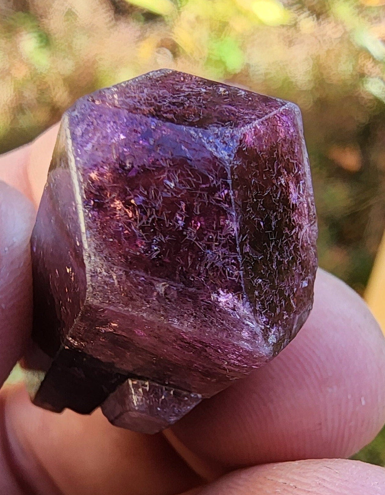 Tourmaline from Minas Gerais, Brazil