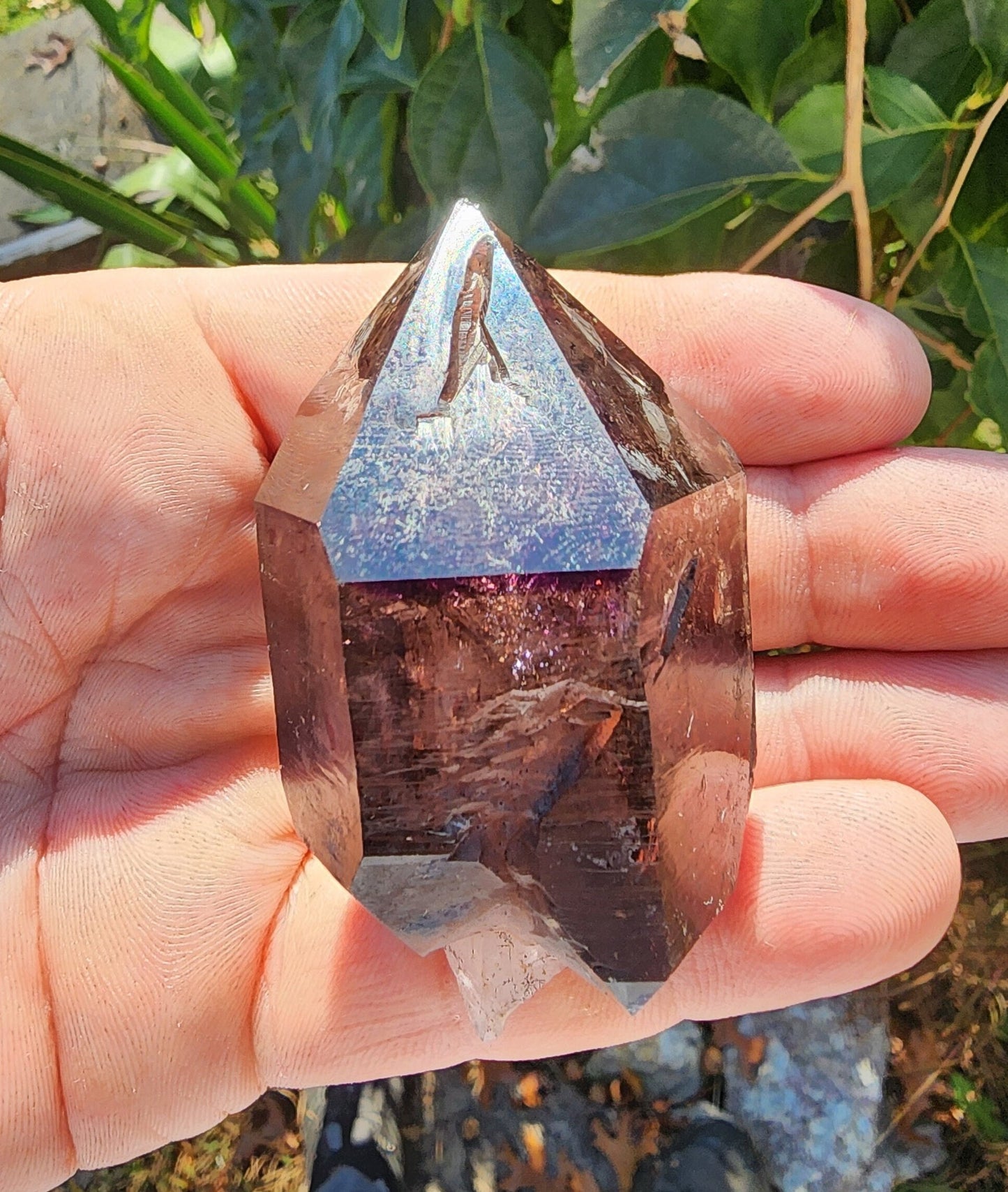 Enhydro Amethyst Smoky Quartz Scepter with Hematite from Zambia Africa