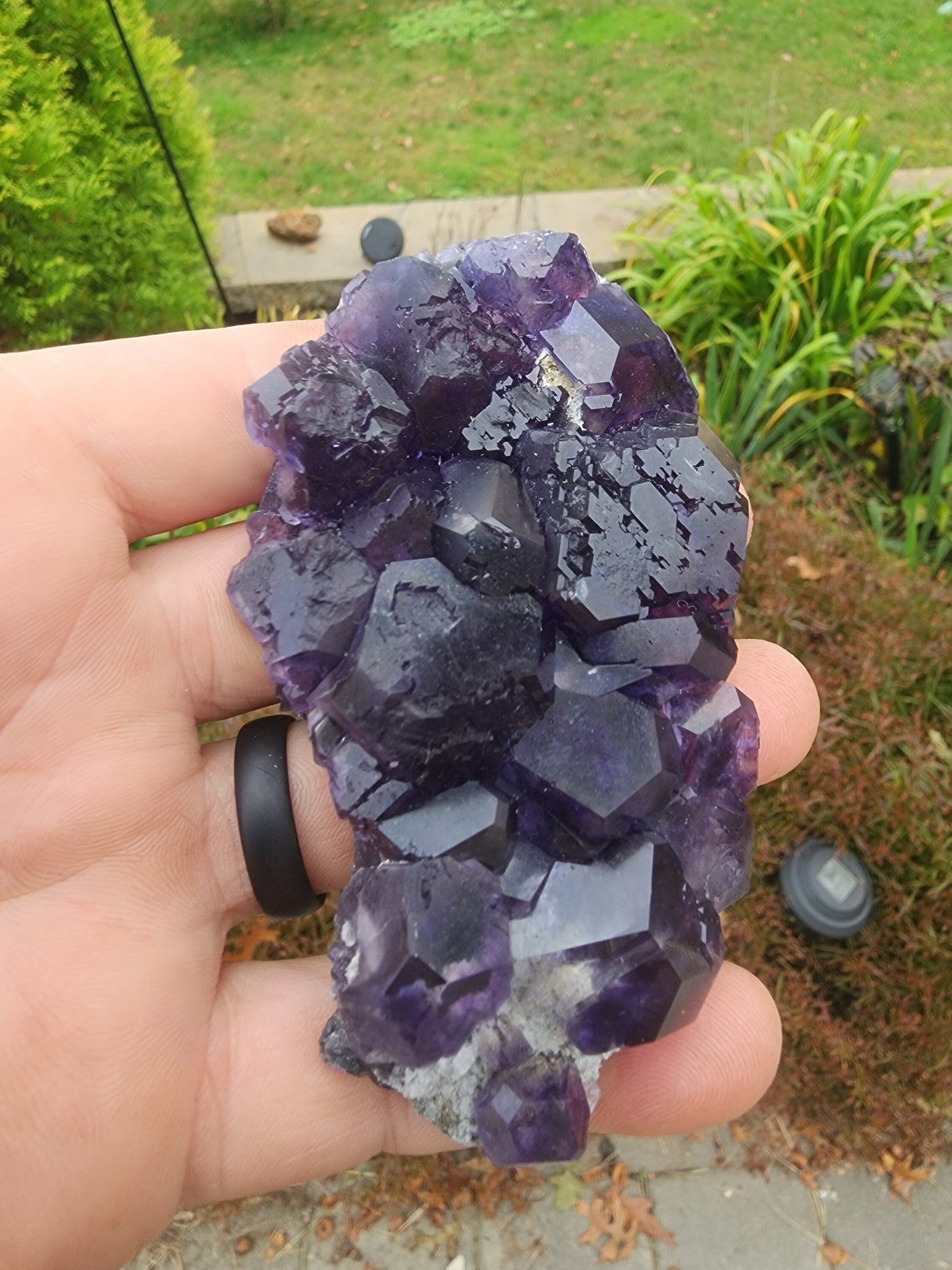 Purple Blue "Tanzanite" Fluorite from Xia Yang Mine China