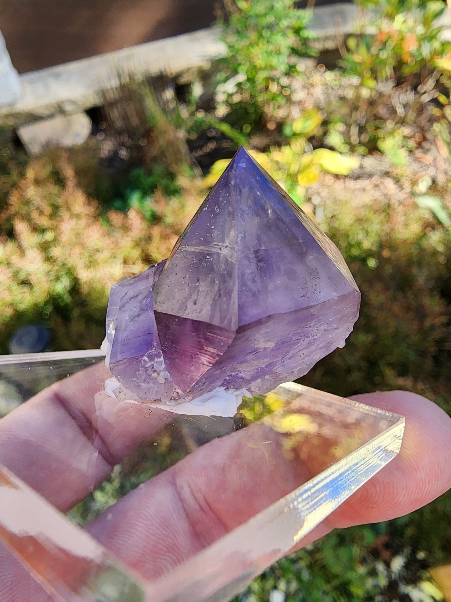 Enhydro Brandberg Amethyst Crystal from Namibia