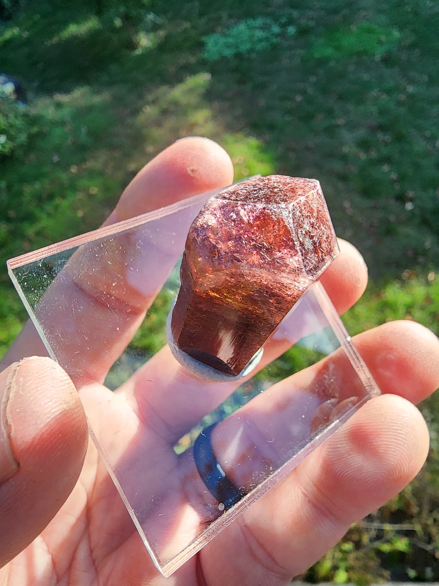Tourmaline from Minas Gerais, Brazil