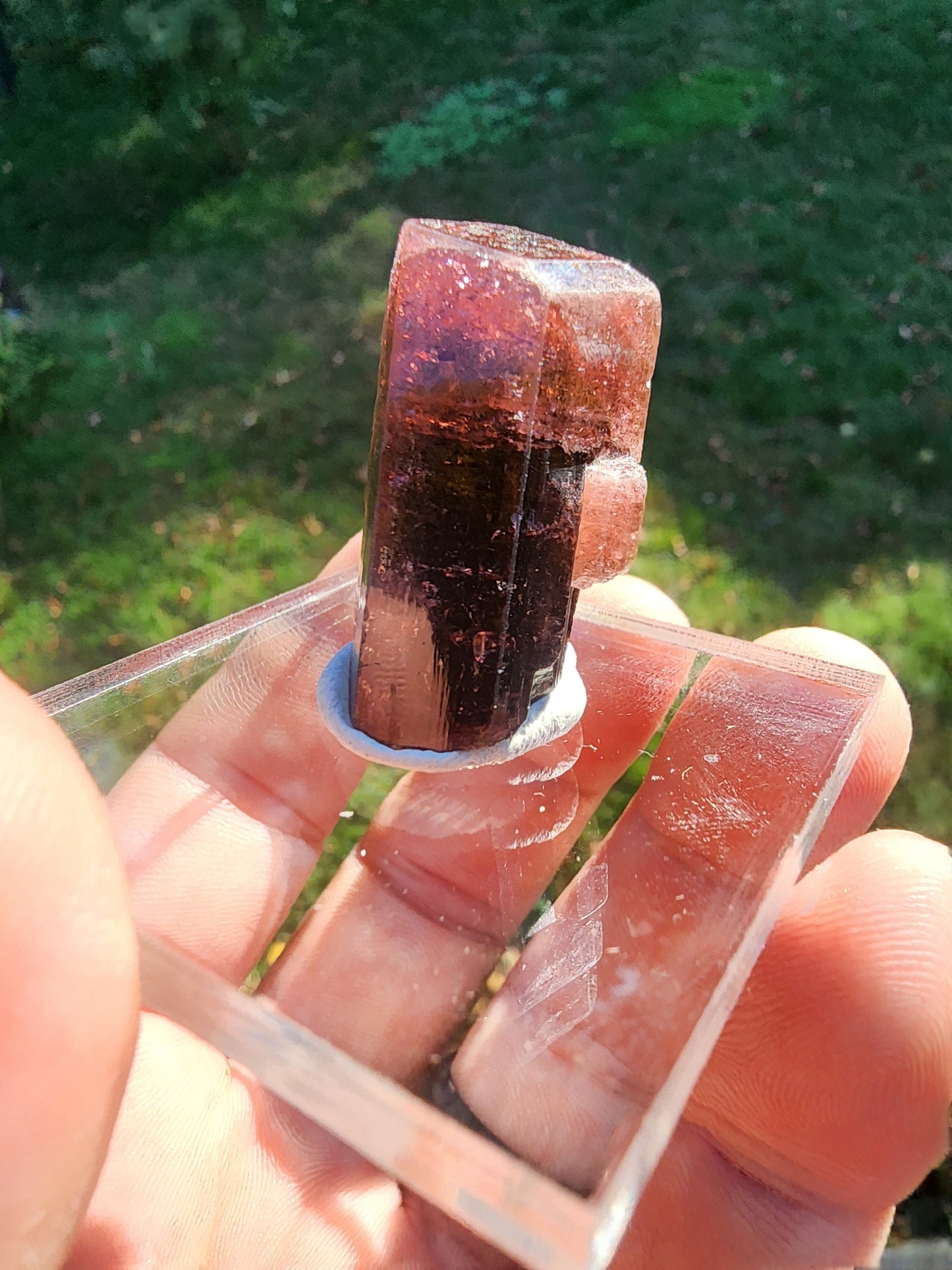Tourmaline from Minas Gerais, Brazil