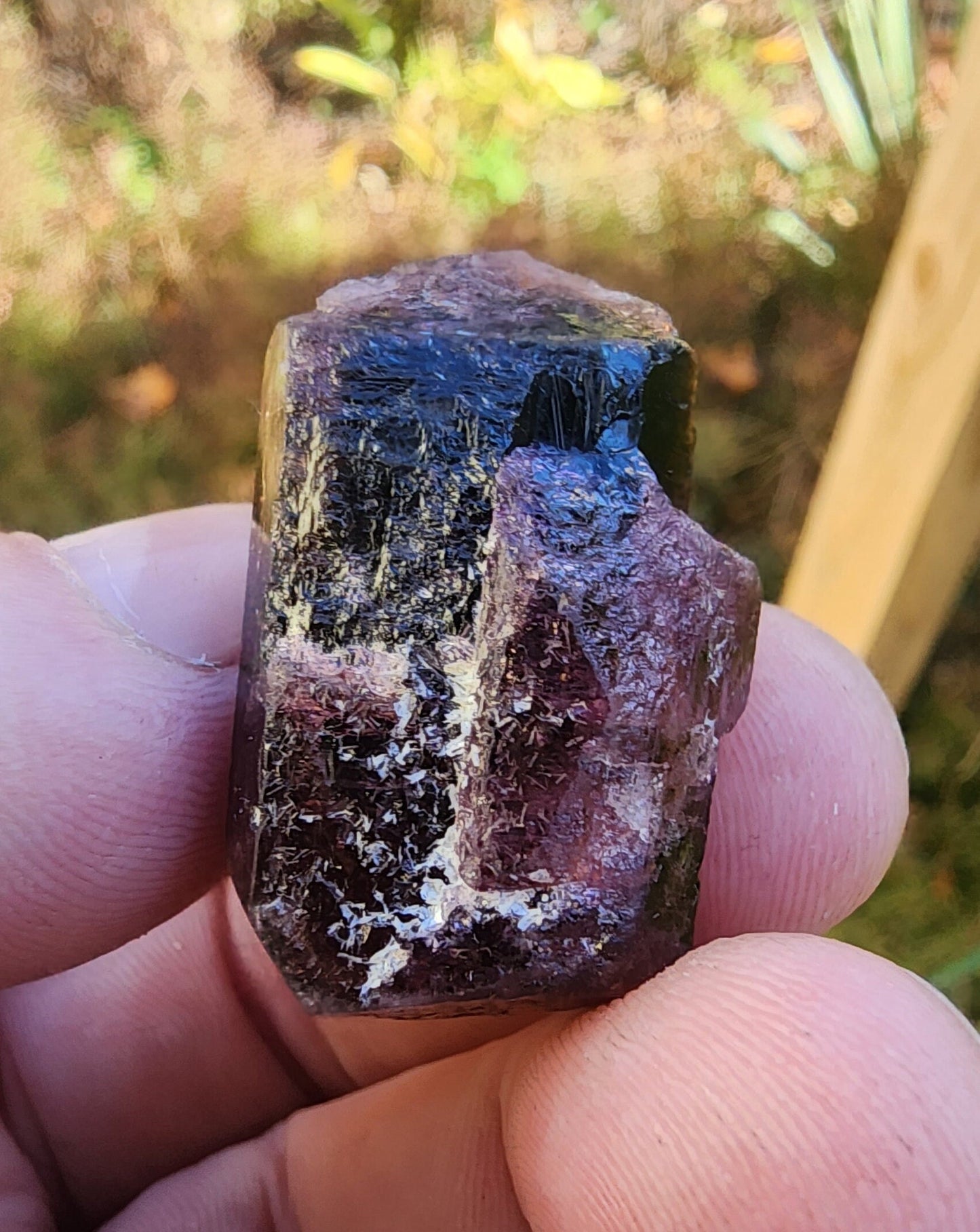 Tourmaline from Minas Gerais, Brazil