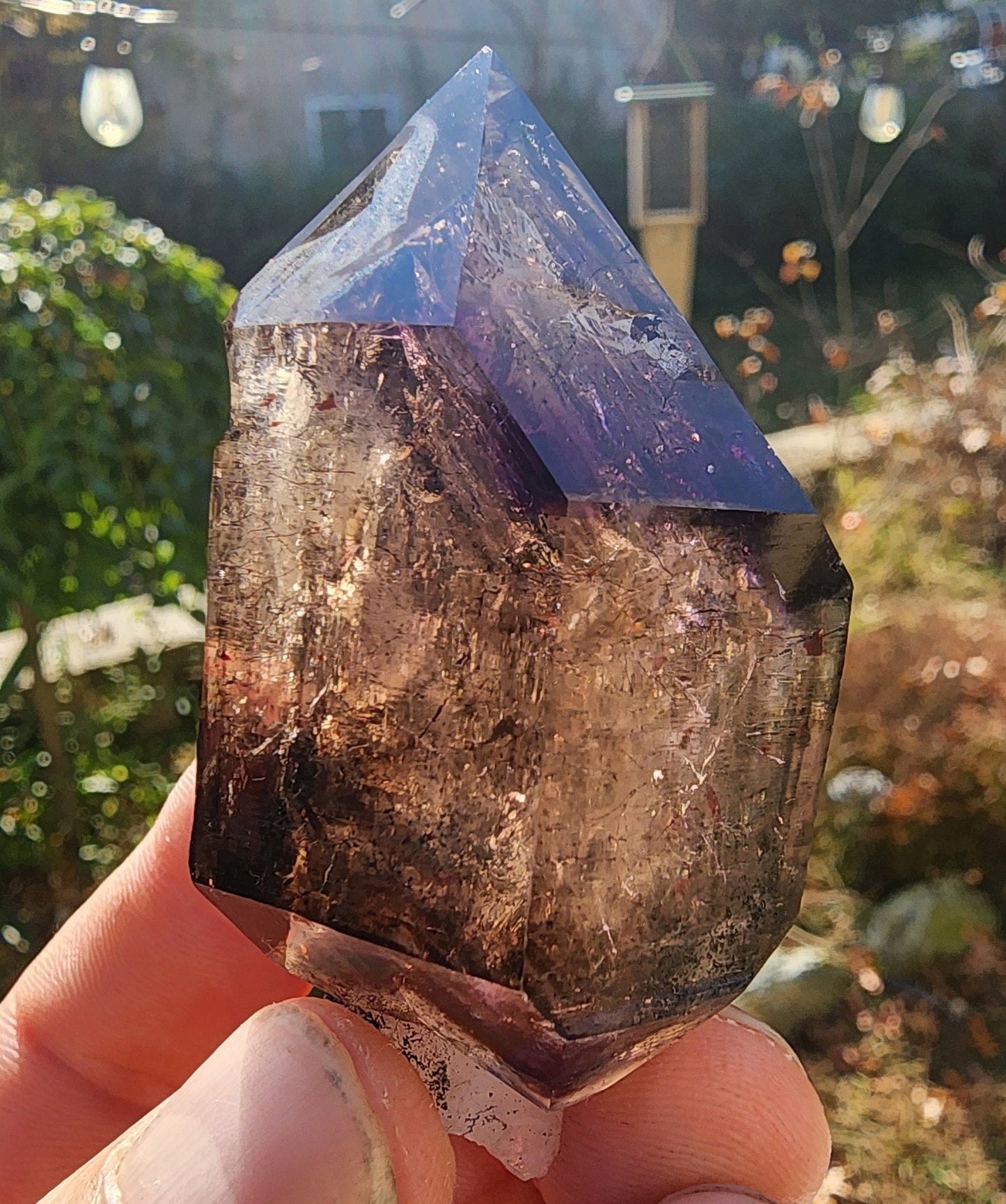 Enhydro Amethyst Smoky Quartz Scepter with Hematite from Zambia Africa