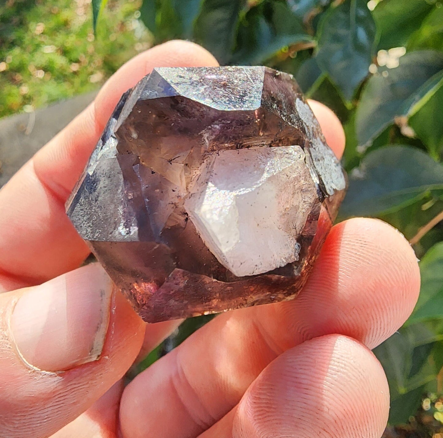 Enhydro Amethyst Smoky Quartz Scepter with Hematite from Zambia Africa