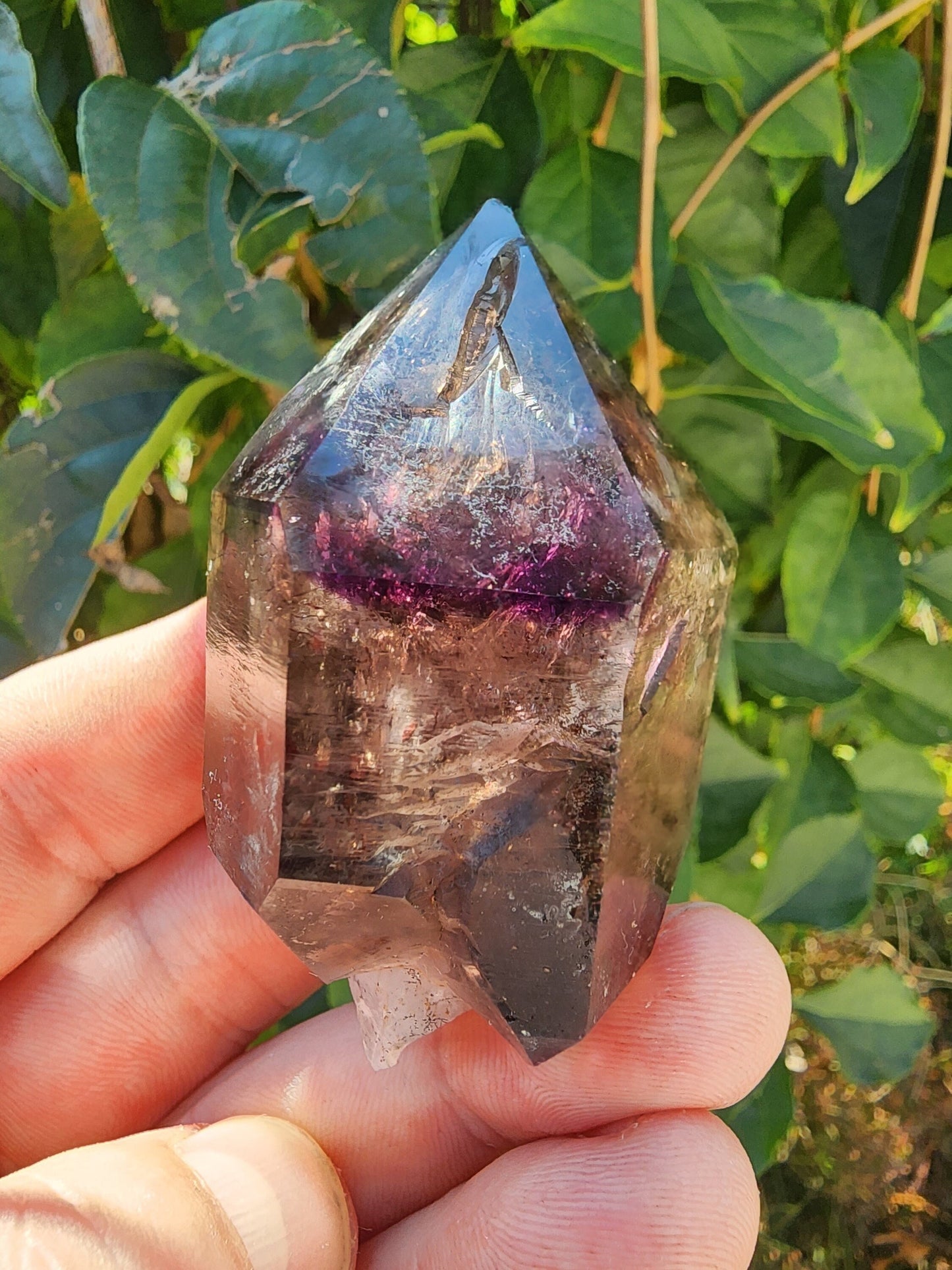 Enhydro Amethyst Smoky Quartz Scepter with Hematite from Zambia Africa