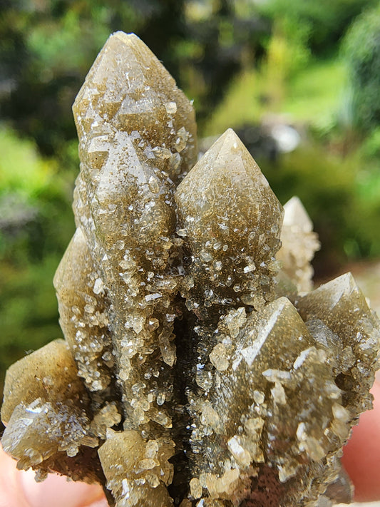 Hedenbergite in Quartz Cluster from Inner Mongolia